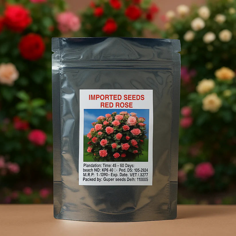 Mixed Color Climbing Rose Flower Seeds (UK Imported)