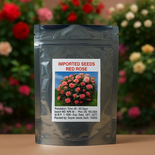Mixed Color Climbing Rose Flower Seeds (UK Imported)